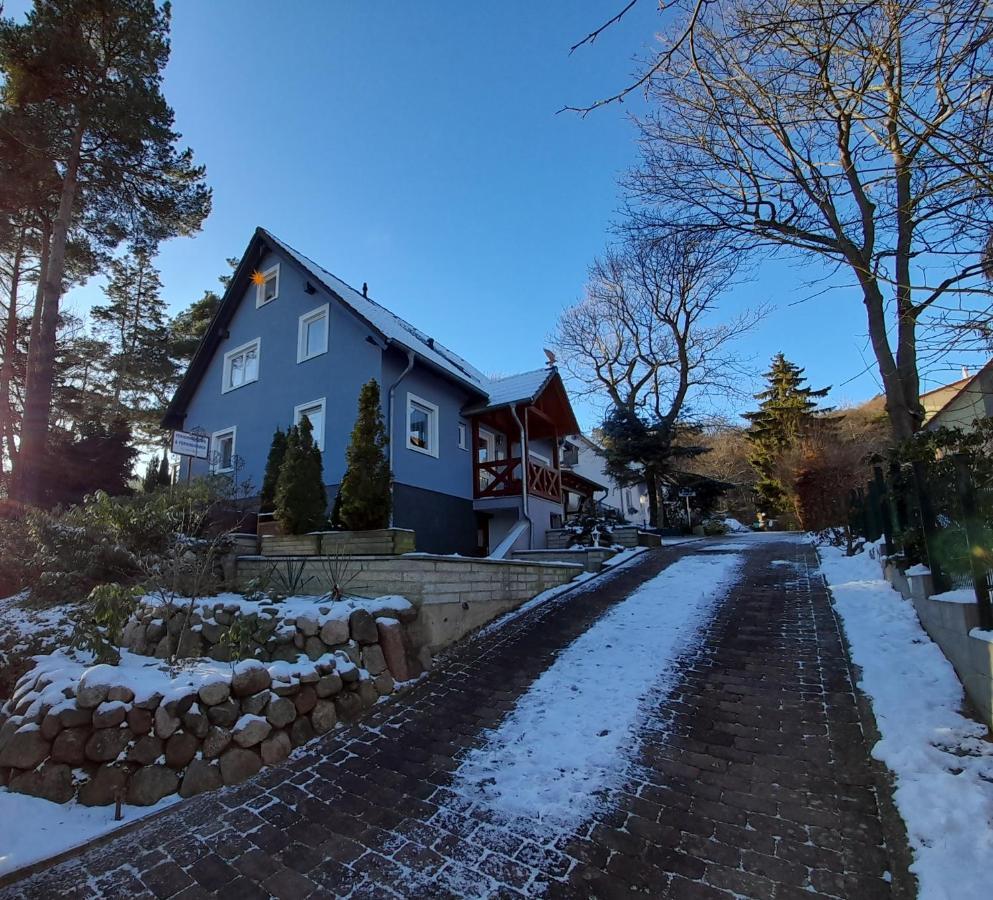 Kastanienblick Mit Wlan Heringsdorf (Usedom)